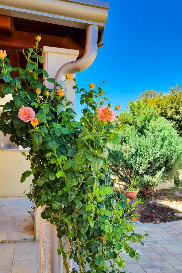 Apartment - Istrian Dream With Swimming Pool