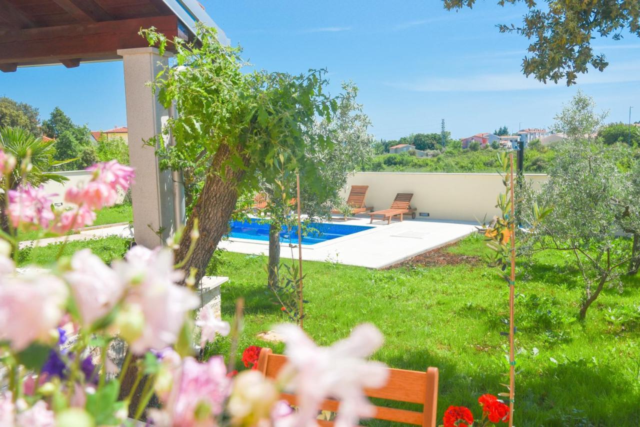 - Istrian Dream With Swimming Pool *